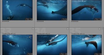 Le catalogage Lightroom est devenu gratuit !