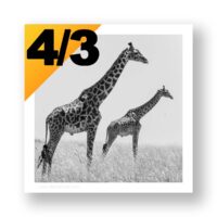 Presets de Cadres au ratio 4/3 pour Lightroom Classic