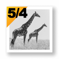Presets de Cadres au ratio 4/5 pour Lightroom Classic